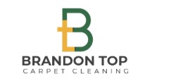 Brandon Top Carpet Cleaning